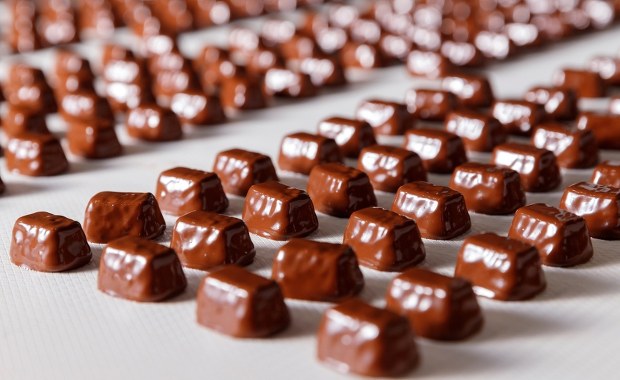 Słodki biznes w służbie armii. "Pszczółka" będzie produkowała dla NATO?