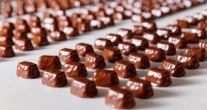 Słodki biznes w służbie armii. "Pszczółka" będzie produkowała dla NATO?