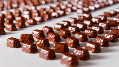 Słodki biznes w służbie armii. "Pszczółka" będzie produkowała dla NATO?