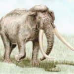 prehistoria Słoń wielkości kota pojawił się w Europie. Ptaki były od niego większe
