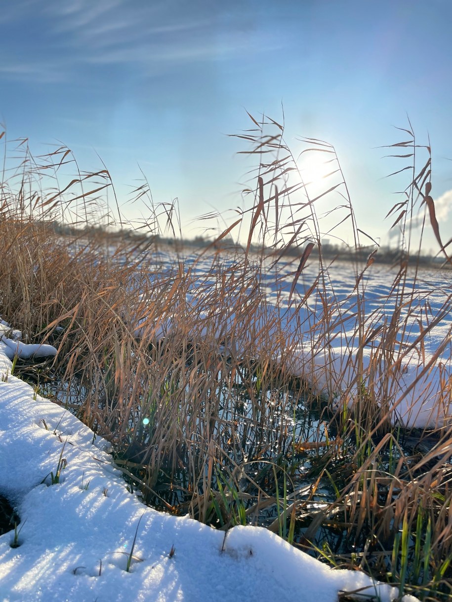 Słońce zimą nad Łąkami Nowohuckimi /Anna Barańska-Całek /RMF24