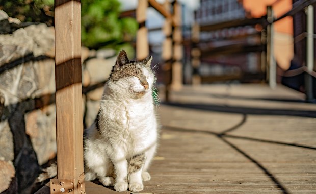 Słoneczna sobota, nawet 20 stopni na termometrach. Sprawdź prognozę pogody