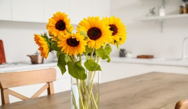 Słoneczniki w wazonie zmarniały? Kwiaciarka zdradza, jak dać im drugie życie 