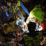 Słowacja: Niedźwiedź rzucił się na biegacza. Atakował trzy razy