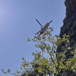 Słowacja: Tragedia w Karpatach. Matka zginęła na oczach dzieci