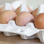 Słowacja: Wykryto holenderskie jaja skażone środkiem owadobójczym