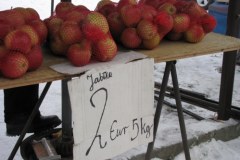 Słowacy przed świętami szturmują Podhale 