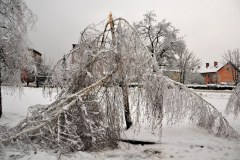 Słowenia bezsilna w walce z zimą