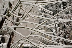 Słowenia bezsilna w walce z zimą
