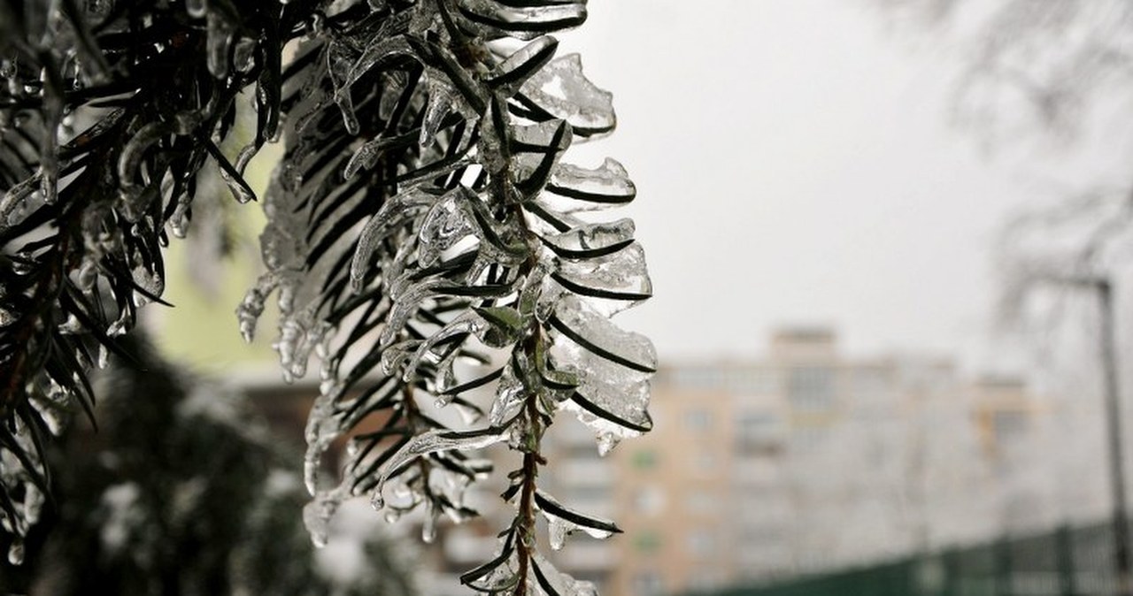 Słowenia bezsilna w walce z zimą