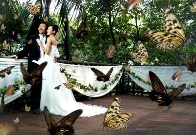 Ślub w rezerwacie dzikiej przyrody w Singapurze? Czemu nie... /arch. AFP