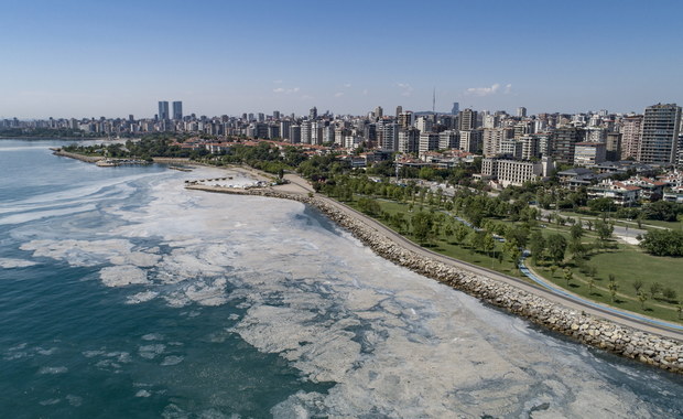 Śluz pokrywa Morze Marmara. Fauna i flora zagrożone, Erdogan interweniuje