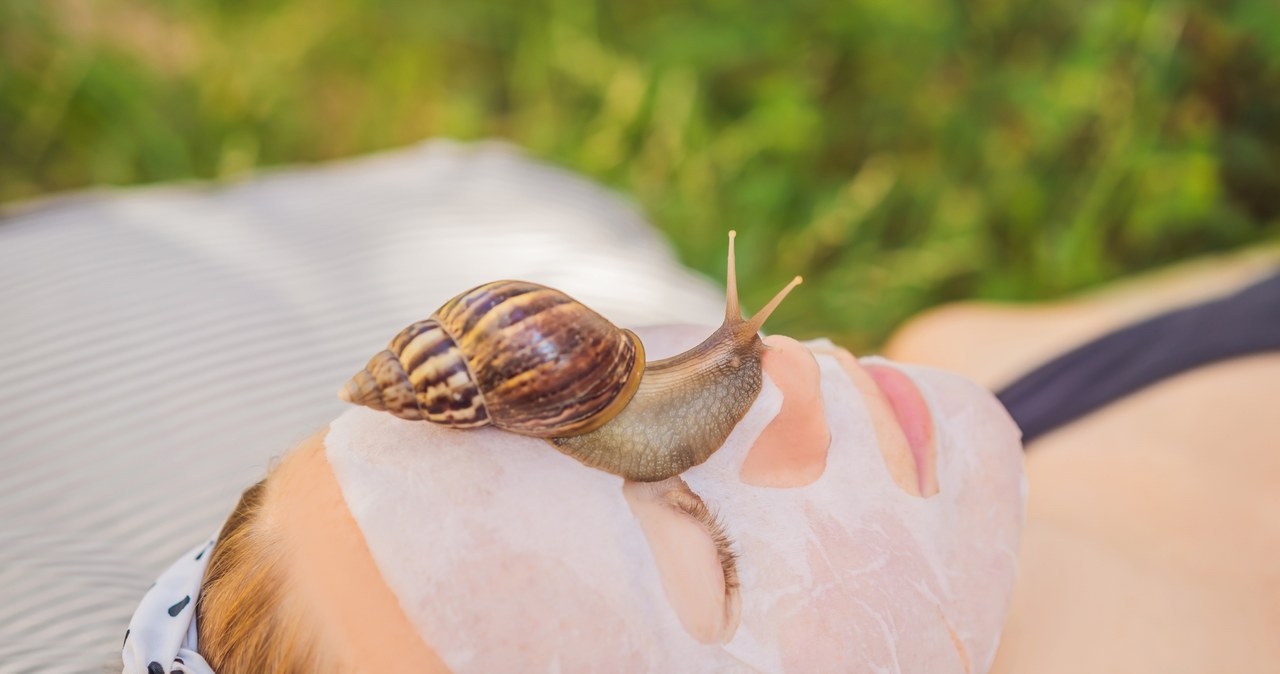 Śluz ślimaka nawilża skórę, regeneruje ją, opóźnia starzenie /123RF/PICSEL