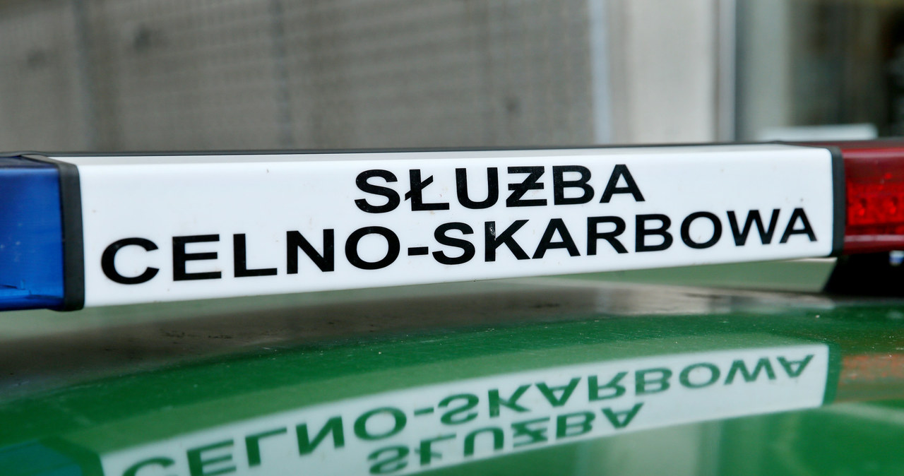 Służba Celno-Skarbowa dostanie podwyżkę /Damian Klamka /Agencja SE/East News