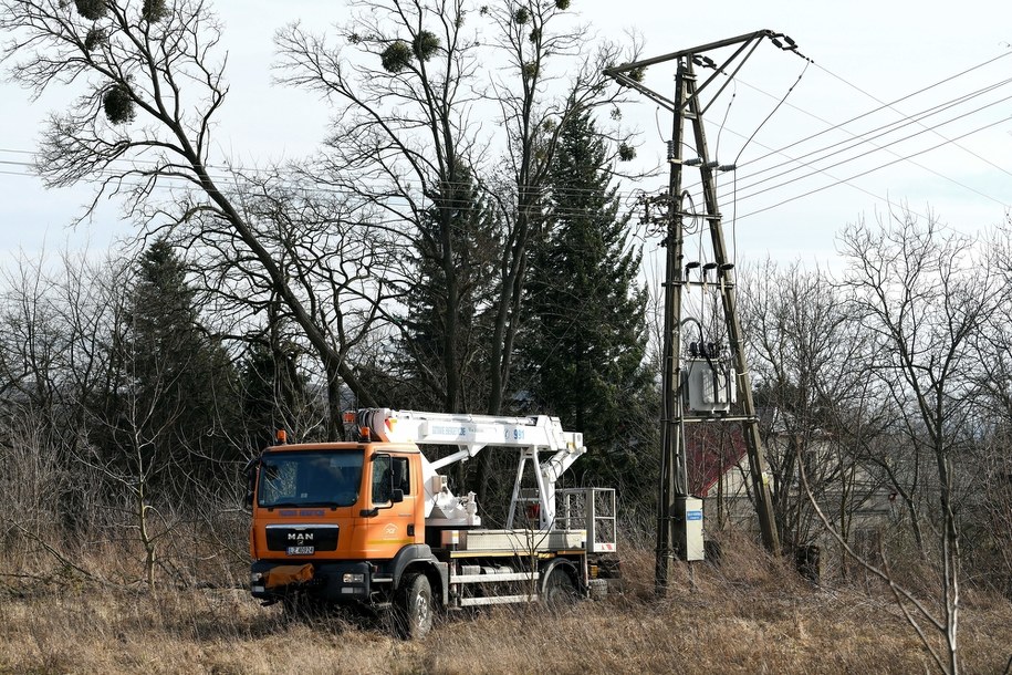 Służby energetyczne usuwają awarię na linii przesyłowej w Przemyślu /Darek Delmanowicz /PAP