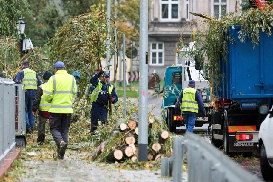 Służby miejskie usuwają zniszczenia po przejściu orkanu Ksawery w Gorzowie Wielkopolskim /Lech Muszyński /PAP