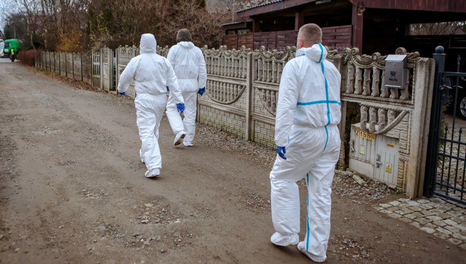 Służby na miejscu morderstwa / 	Maciej Kulczyński    /PAP/EPA