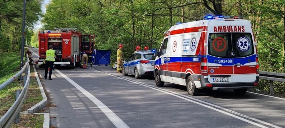 Służby na miejscu wypadku /Policja