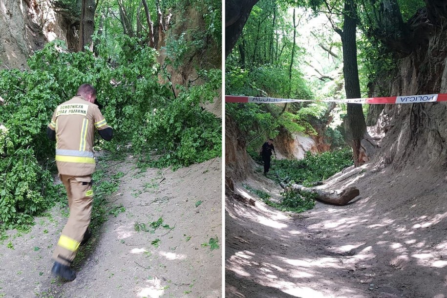 Służby na miejscu zdarzenia /Policja Puławska /