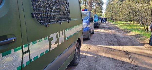 Służby na miejscu znalezienia pocisku w lesie pod Bydgoszczą /Beniamin Piłat /RMF FM