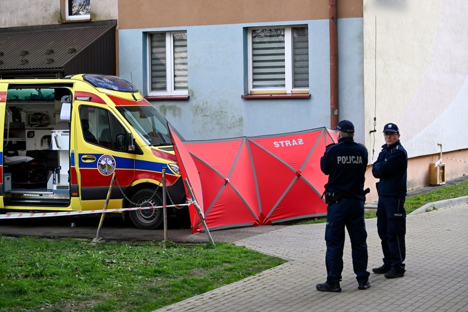 Służby na sanockim osiedlu, gdzie doszło do tragedii /Darek Delmanowicz /PAP