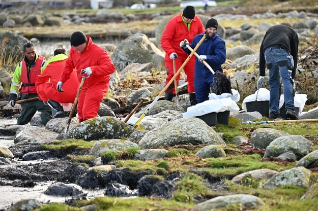 Służby oczyszczające wybrzeże Szwecji /JOHAN NILSSON/TT /PAP/EPA