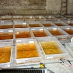 Służby rozbiły sieć laboratoriów narkotykowych. Ponad tona zakazanej substancji