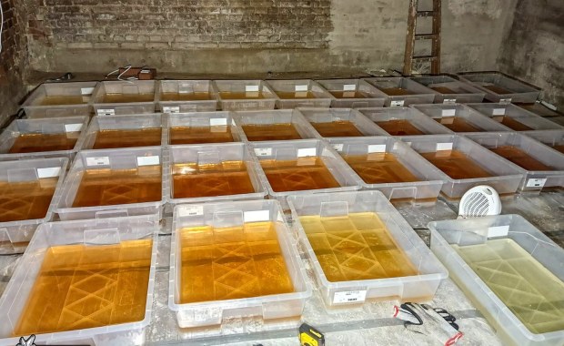 Służby rozbiły sieć laboratoriów narkotykowych. Ponad tona zakazanej substancji 