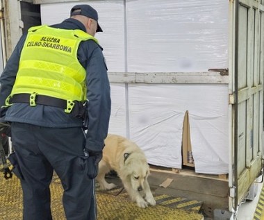 Służby udaremniły przemyt ponad pół mln paczek papierosów