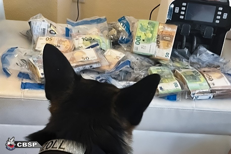 Śłużby uderzyły w nielegalny przemysł tytoniowy /CBŚP