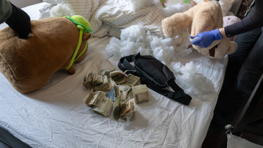 Służby ujawniły 350 tys. złotych w gotówce / Krajowa Administracja Skarbowa /Materiały prasowe