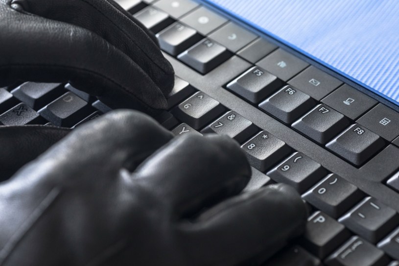 Służby USA unieszkodliwiły botnet hakerów! Rosjanie straciły na ważnej broni /Arkadiusz Ziółek /East News