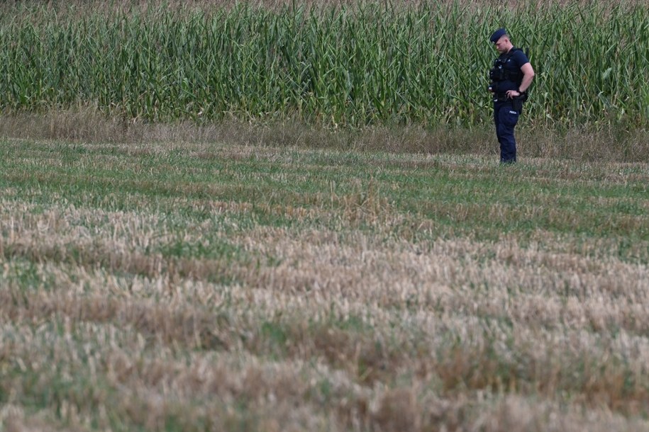 Służby zabezpieczają teren pola kukurydzy w miejscowości Osiny, na które spadł niezidentyfikowany obiekt. /Wojtek Jargiło /PAP