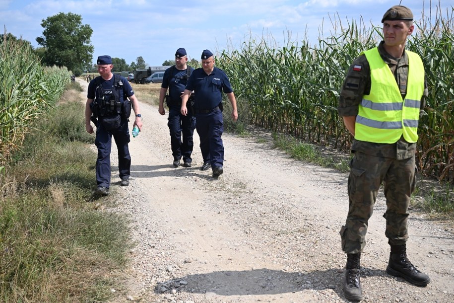 Służby zabezpieczają teren pola kukurydzy w miejscowości Osiny, na które spadł niezidentyfikowany obiekt. /Wojtek Jargiło /PAP