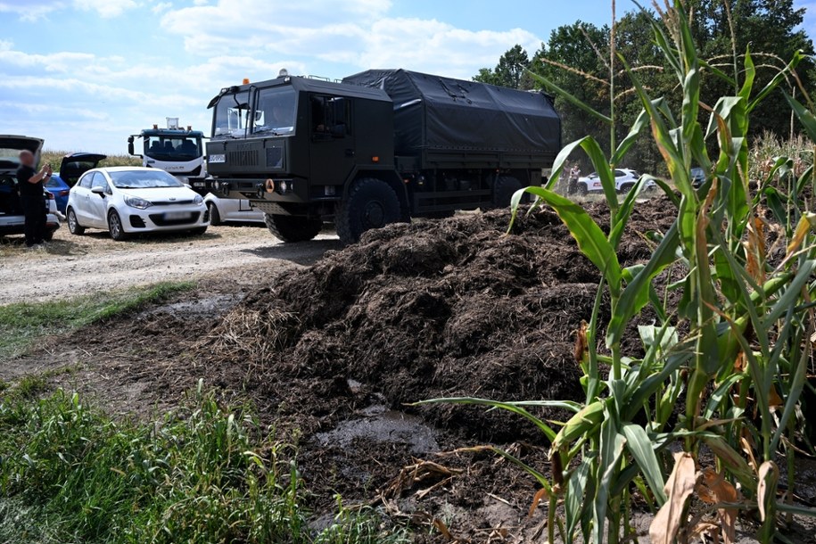 Służby zabezpieczają teren pola kukurydzy w miejscowości Osiny /Wojtek Jargiło /PAP