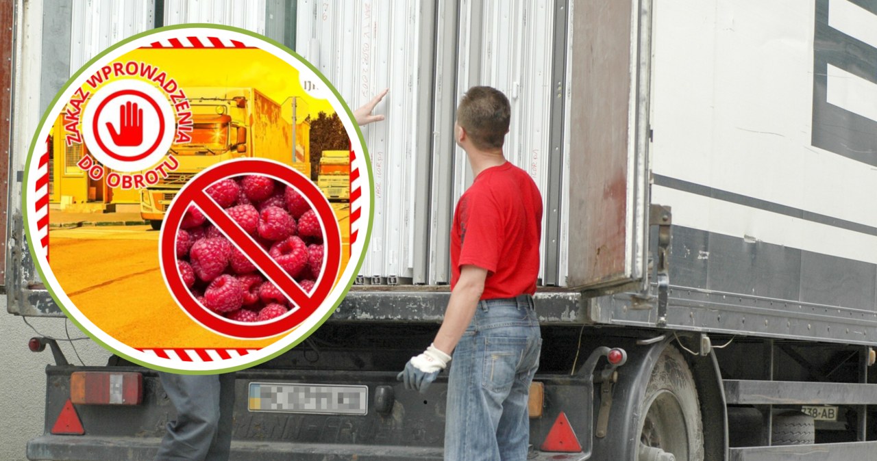 Służby zatrzymały transport mrożonych malin z Ukrainy. To ponad 42 tony owoców /PIOTR KAMIONKA/REPORTER, Facebook @GIJHARS /