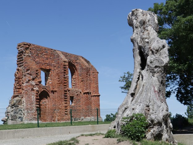 Słynne ruiny XIII-wiecznego kościoła w Trzęsaczu /Jakub Rutka /RMF FM
