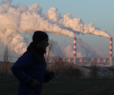 Słyszysz "smog", myślisz "płuca". A on wykańcza też serce, mózg, wątrobę i nerki