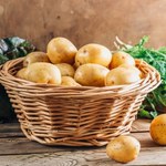 „Smak Pyry 2023”. Gdzie najlepsze potrawy z ziemniaków?