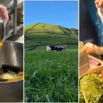 Smaki Azorów. Mięsne specjały, tradycyjne sery i słodkie historie z wysp