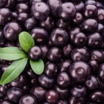 Smakują jak jagody z czekoladą. Są zdrowsze od winogron, mają dużo dobrych tłuszczów i mało cukru