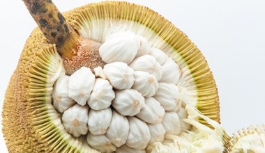 Smakuje jak miks banana, kokosa i ananasa. Wspiera pracę serca i mózgu