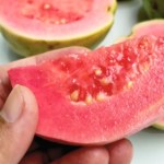 gujawa właściwości Smakuje jak truskawka z arbuzem. To idealny owoc na lato