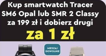 Smartwatch za symboliczną złotówkę w Biedronka Home! /Biedronka /INTERIA.PL