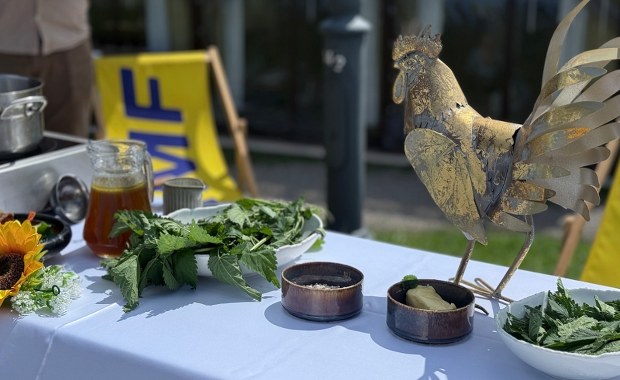 Smażone bociany i pączki z bobem. "Pyszne, bo polskie" na Lubelszczyźnie