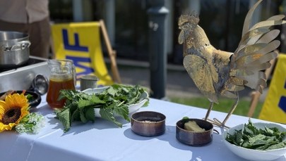 Smażone bociany i pączki z bobem. "Pyszne, bo polskie" na Lubelszczyźnie