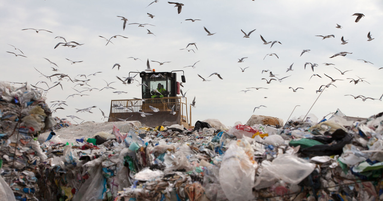 Śmieci będzie przybywać, a biedniejsze powiaty powoli stają się śmietnikami dużych metropolii. /123RF/PICSEL