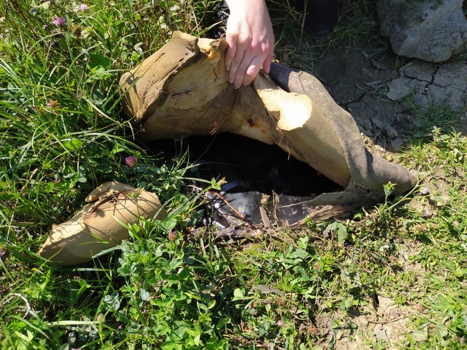 Śmieci pozostawione na działce /Przemysław Błaszczyk /RMF MAXX