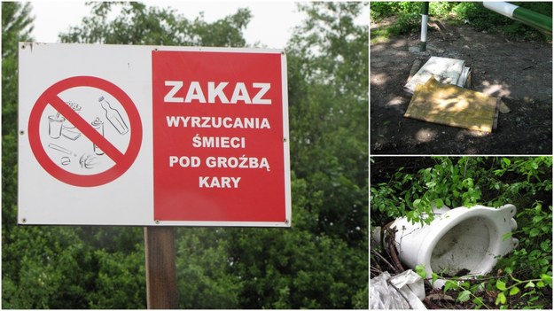 Śmieci przy drodze do lasu w Preczowie pod Będzinem /Marcin Buczek /RMF FM