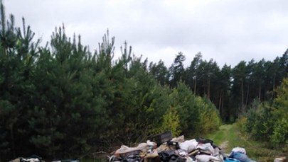 Śmieci w lesie. "Fajnie jest mieszkać w czystym domu?"